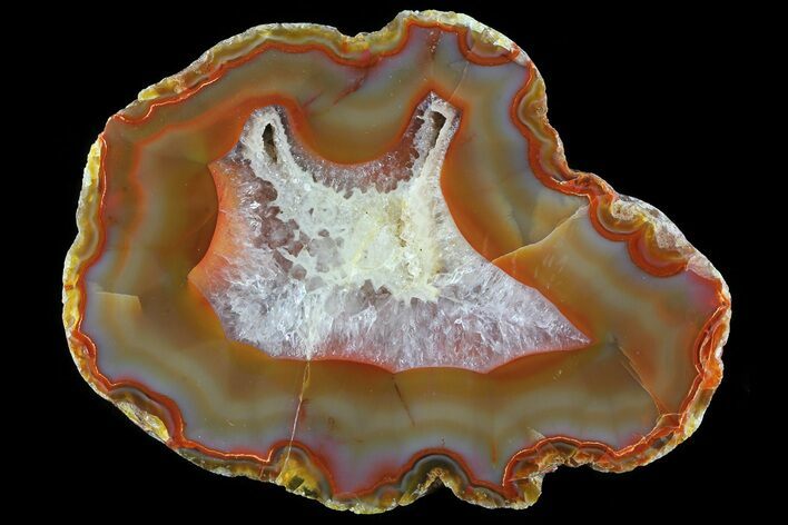 Beautiful Condor Agate From Argentina - Cut/Polished Face #79514